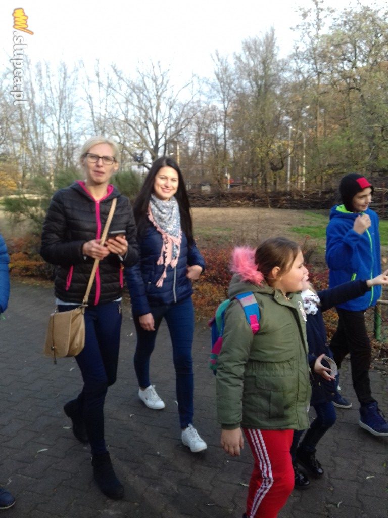 Kotunia we Wrocławiu