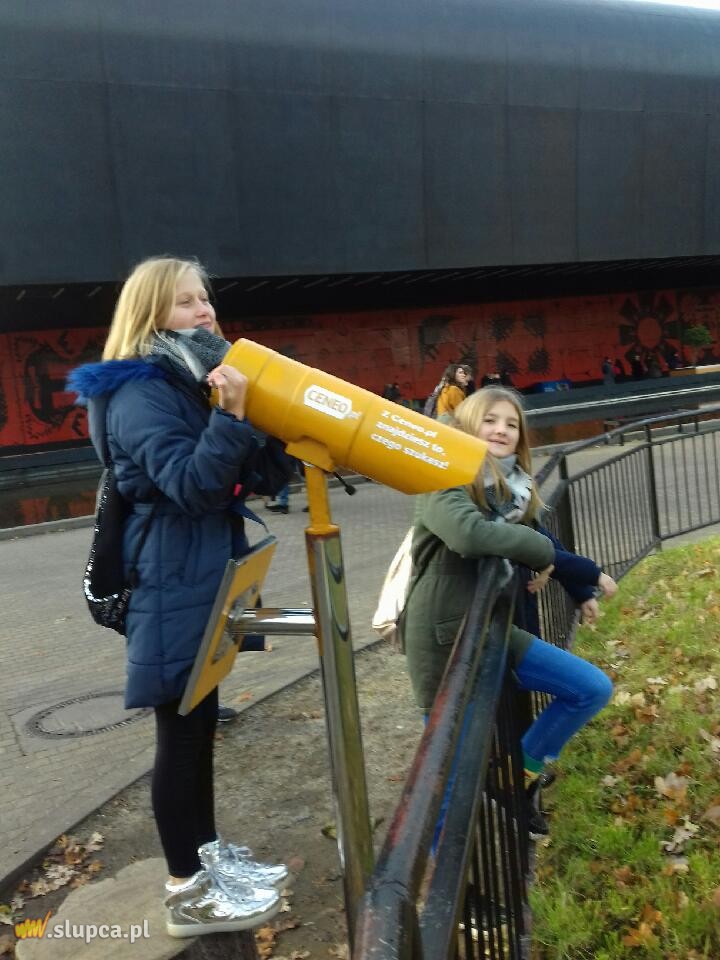 Kotunia we Wrocławiu