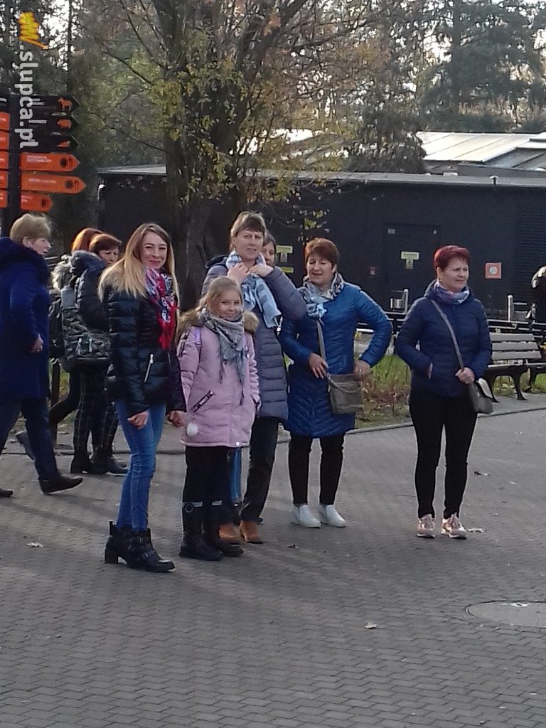 Kotunia we Wrocławiu