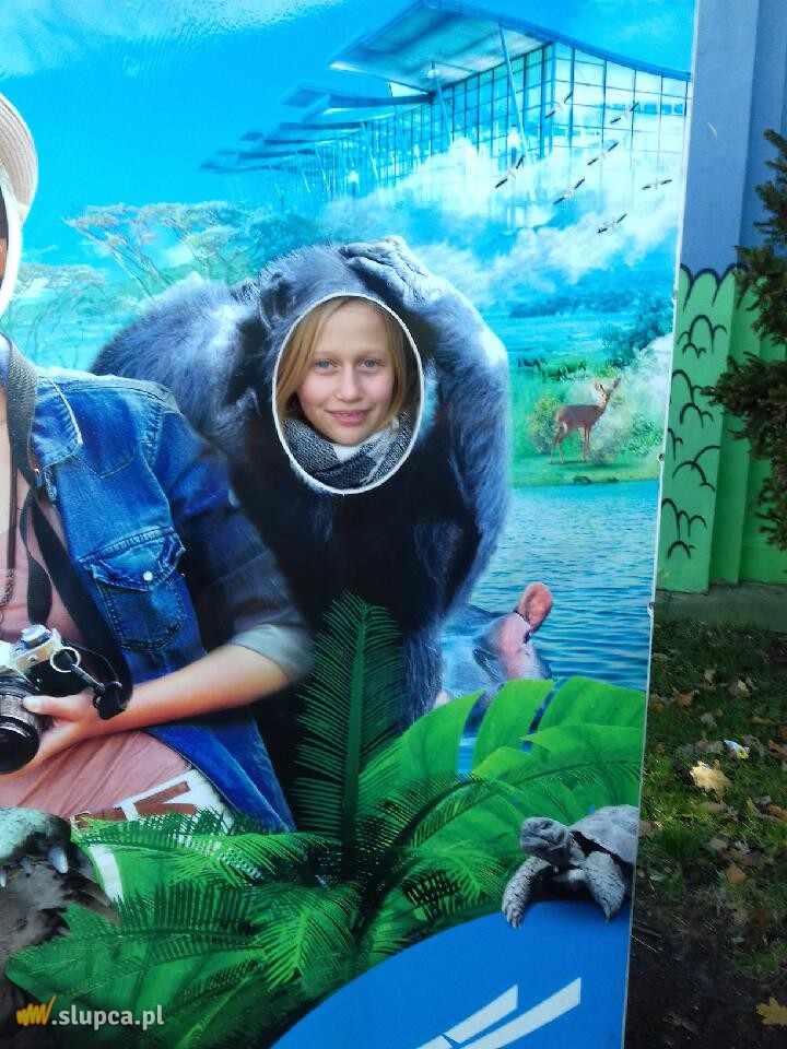 Kotunia we Wrocławiu