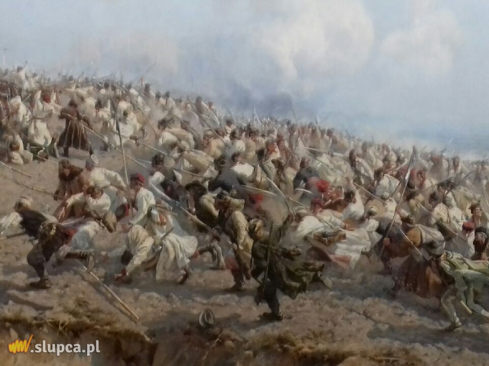 Kotunia we Wrocławiu