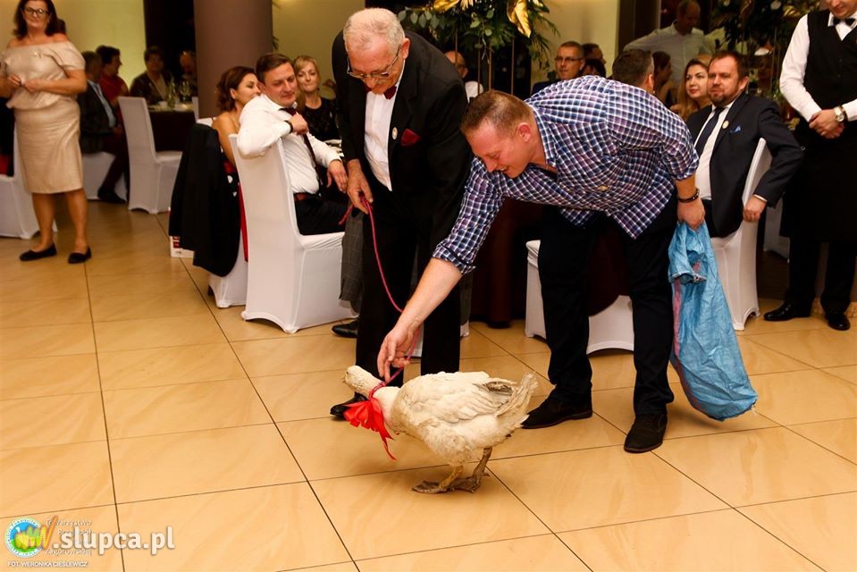 Bal  „z Gąską”