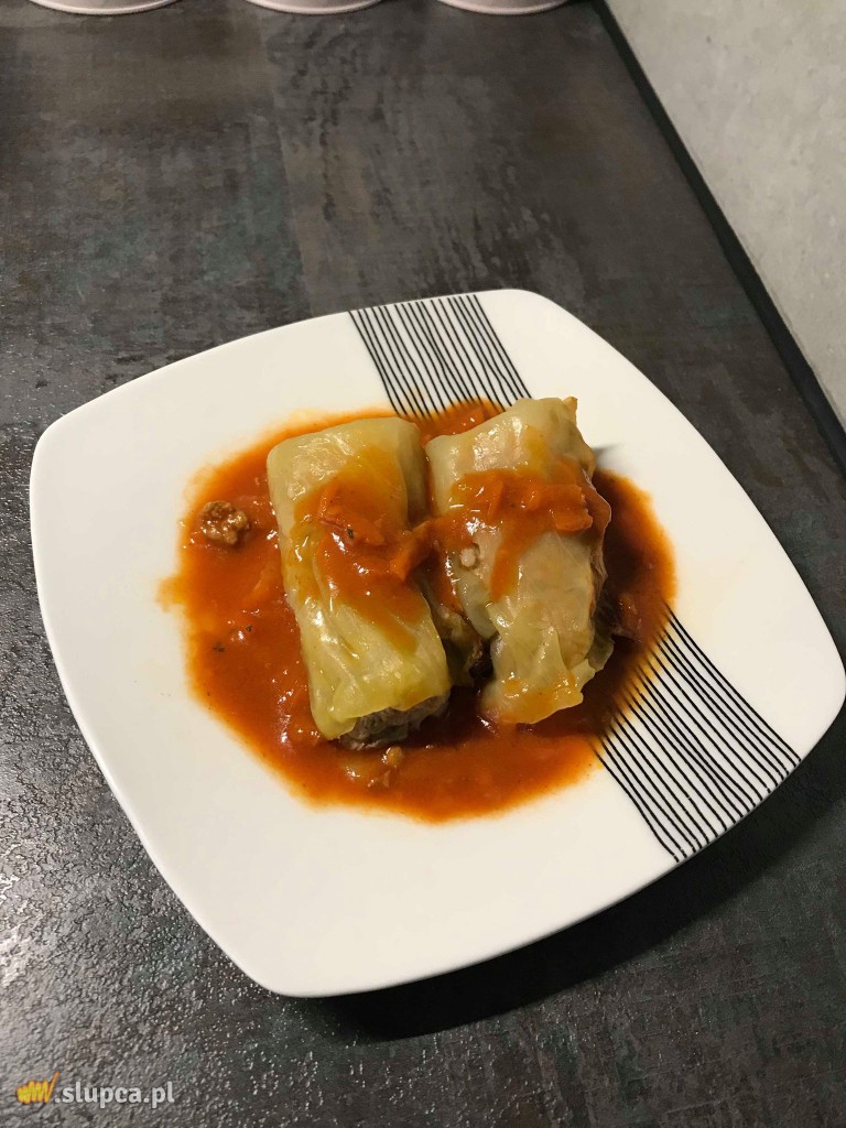 Ekomaluchy na Dniu Pluszowego Misia