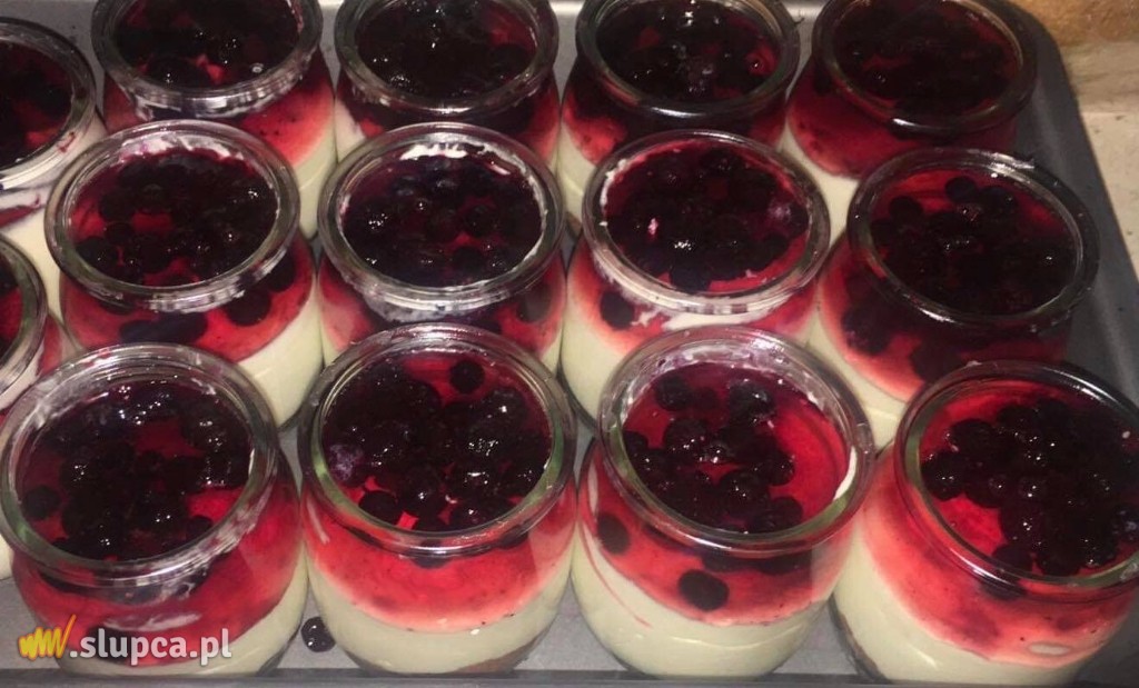 Ekomaluchy na Dniu Pluszowego Misia