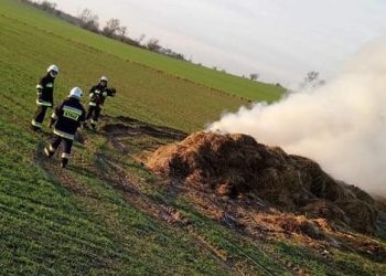 Gasili pożar obornika w Polanowie