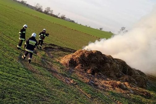 Gasili pożar obornika w Polanowie