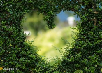 Darmowe portale randkowe – najważniejsze informacje