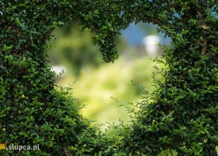 Darmowe portale randkowe – najważniejsze informacje