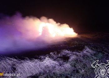 Palił się stóg w Cieninie Kolonii ZDJĘCIA