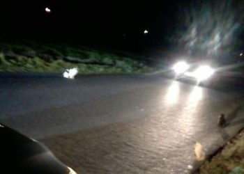 Dramat kotów w Imielnie. 3 nie przeżyły