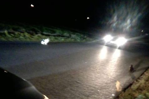 Dramat kotów w Imielnie. 3 nie przeżyły