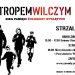 Strzałkowo: Bieg Pamięci Tropem Wilczym