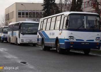 Bilet na autobus tylko za złotówkę. Kto skorzysta?