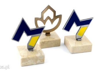 Statuetki biznesowe dla firm i organizacji