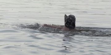 W jeziorze Słupeckim można się kąpać WYNIKI BADAŃ