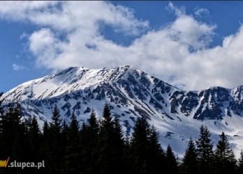 Góralski kulig w Zakopanem – sposób na doskonałą zabawę