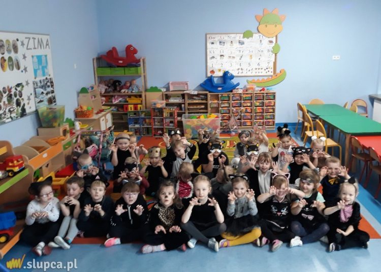 Dzień Kota w Ciążeniu