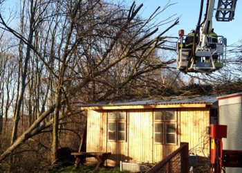 Usuwali powalone drzewo w Kosewie