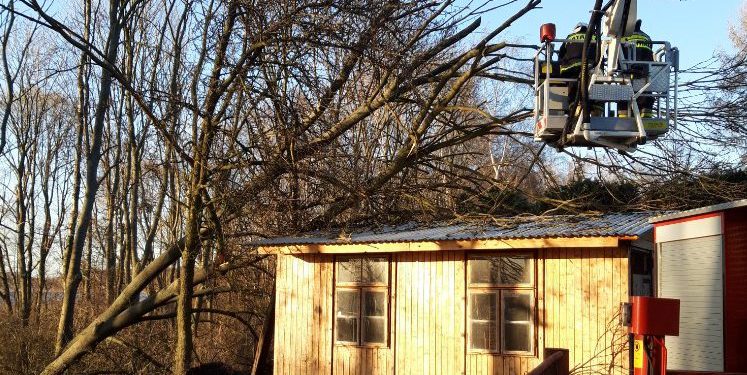 Usuwali powalone drzewo w Kosewie