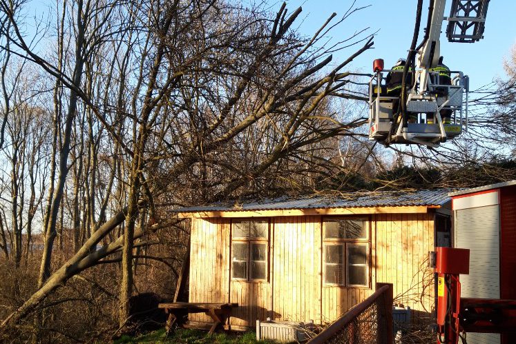 Usuwali powalone drzewo w Kosewie