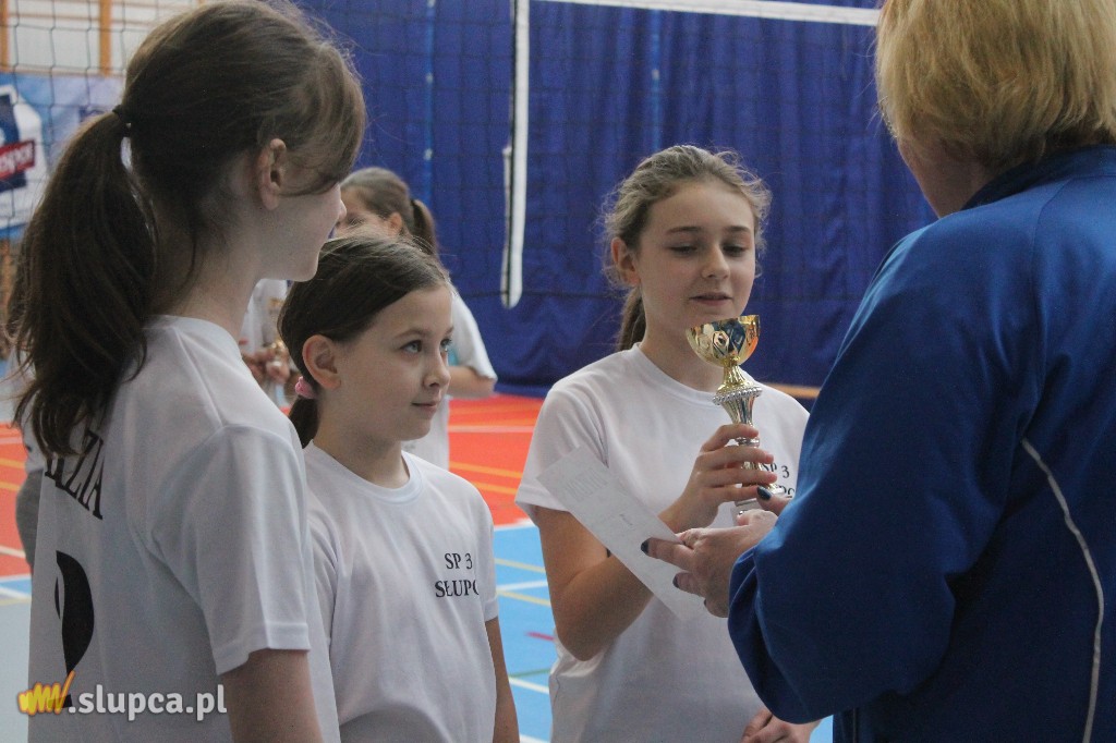 Dzień Kobiet pod siatką