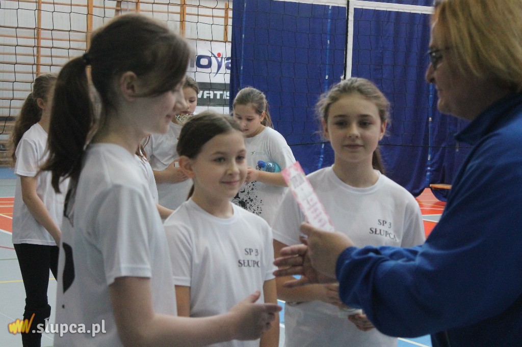 Dzień Kobiet pod siatką