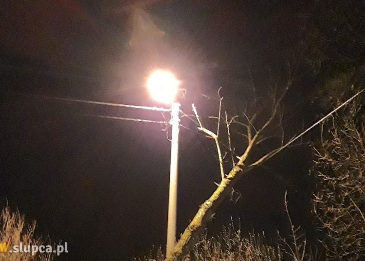 Trzy akcje w jednym czasie