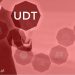 co to jest udt?