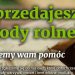 Wspierajmy lokalnych przedsiębiorców AKCJA KURIERA