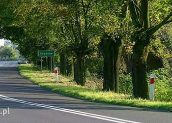 Zagórów: W gminie nikt nie jest objęty kwarantanną