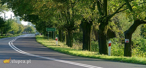 Zagórów: W gminie nikt nie jest objęty kwarantanną