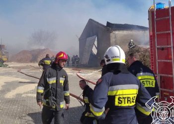 32 godziny gasili pożar w Stawie