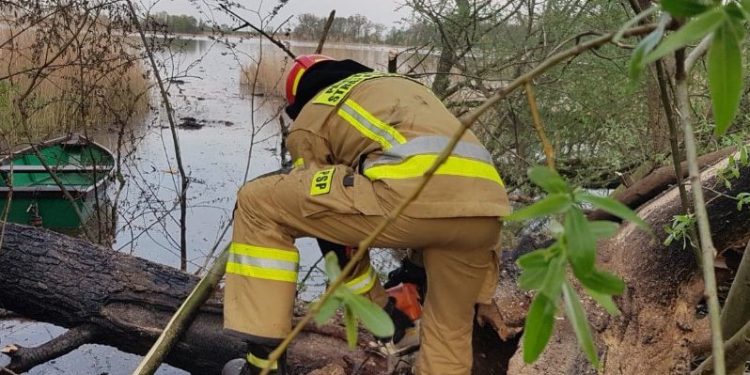 Strażacy walczyli z płonącą trzciną