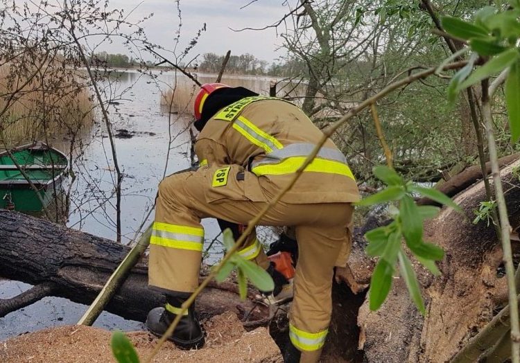 Strażacy walczyli z płonącą trzciną