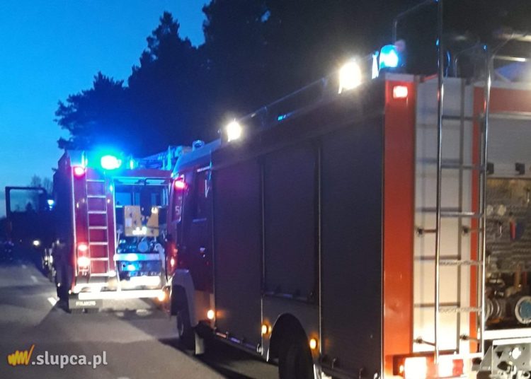 W lesie ratowali nieprzytomnego mężczyznę