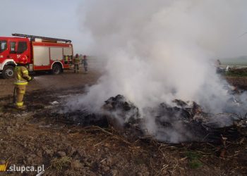 Właściciel pola dostał mandat