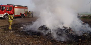 Właściciel pola dostał mandat