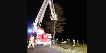 Kotów nikt nie porzucił. Zaskakujący finał sprawy