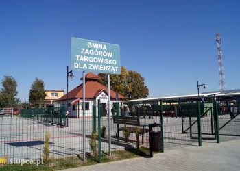 Zagórów: Mogą handlować. Ale nie wszystkimi produktami