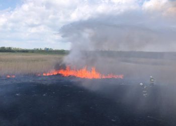 Gasili pożar traw. Hektar w ogniu