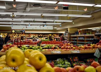 Księgowość dla sklepu spożywczego – jak wybrać?