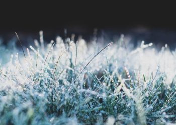 Zapowiadają przymrozki w naszym powiecie