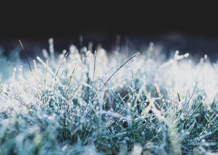 Zapowiadają przymrozki w naszym powiecie