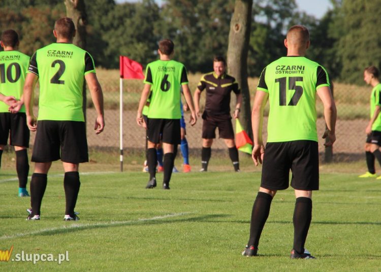 Nasze kluby z licencjami