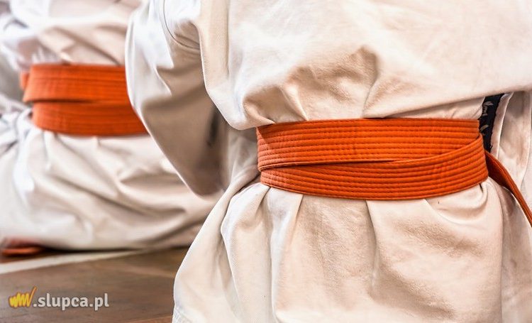 Strzałkowski Klub Karate wznawia treningi