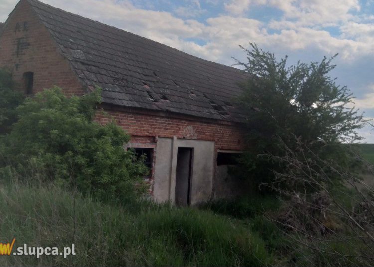 Makabryczne odkrycie. Wiadomo, kim był zmarły