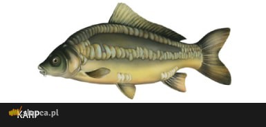 Warsztaty wędkarskie w Lądku