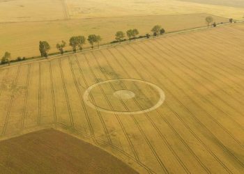 Piktogramy znów w Orchowie ZDJĘCIA i FILM