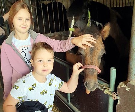 Z wizytą w Stajni Bierzglinek