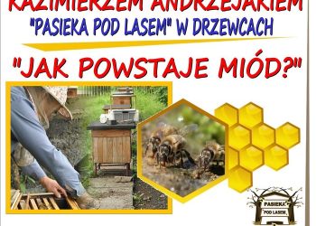 Jak powstaje miód